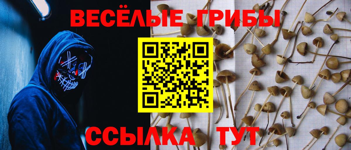 Усолье-Сибирское  Псилоцибиновые грибы ЛСД  Вход с VPN 